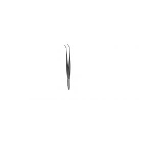 Forceps Cushing 6-7/8 Inch Length Stainless Steel Spring Handle Straight Double Action