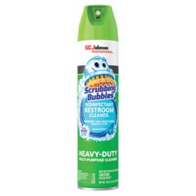 Disinfectant Restroom Cleaner II, Rain Shower Scent, 25 oz Aerosol Can, 12/Carton