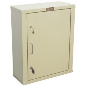 Narcotic Cabinet Wall Mounting 20 Gauge Steel Without Drawers 1 Fixed and 1 Adjustable Shelf Tubular Lock