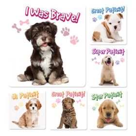 Stickers 2.5 in x 2.5 in Puppy Patient 100/Rl