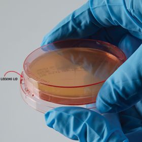 Irradiated Tryptic Soy Agar Contact Plates, Red Tinted, 65mm