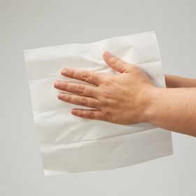 C-Fold Low-Lint Cleanroom Wipes, 9 x 9