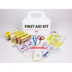 First Aid Kit 10 Person Plastic Case