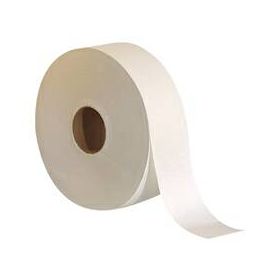 Toilet Tissue envision White 2-Ply Jumbo Size Cored Roll Continuous Sheet 3-1/2 Inch X 2000 Foot