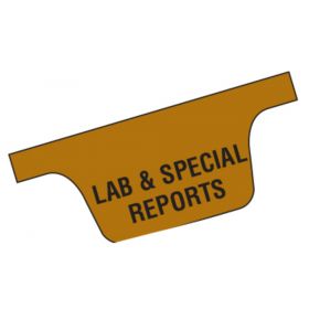 Chart Divider Tab - Lab & Special Reports - Paper - Bottom