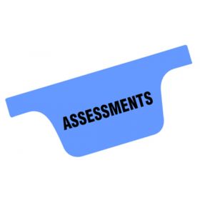 Chart Divider Tab - Assessments - Tyvek - Bottom