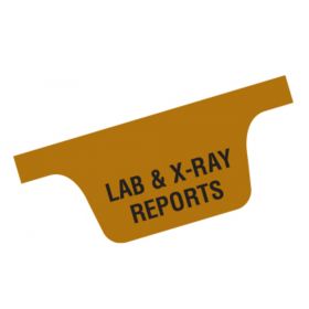 Chart Divider Tab - Lab & X-Ray Reports - Tyvek - Bottom