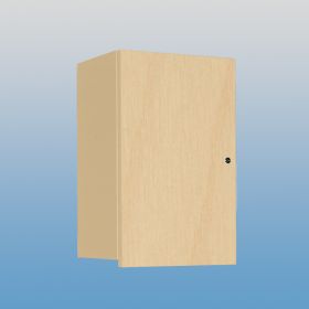 Wall Cabinet with Locking Overhang Door, 18 Inch - 5092WR