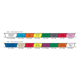 Chart Divider Set - Poly - Long-Term Care - 16 Tabs Bottom