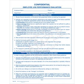 Employee Job Performance Evaluation Form