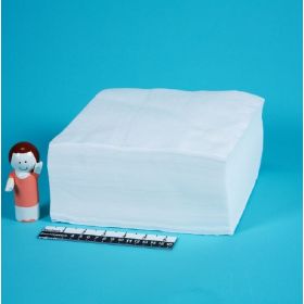 Cleanroom Wipe Health Care Logistics ISO Class 5 White NonSterile 1 Ply Tissue 9 X 9 Inch Disposable