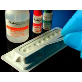 Test Kit GonoGen II Infectious Disease Immunoassay Neisseria Gonorrhoeae Culture Sample 40 Tests