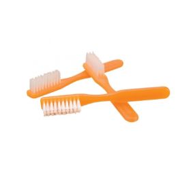Toothbrush Dawn Mist Orange Adult Soft