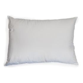 Bed Pillow McKesson 17 X 24 Inch White Disposable, 939595