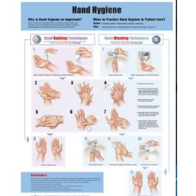 Anatomical Chart Hand Hygeine 20 X 26 Inch Heavy Paper Grommets Laminated