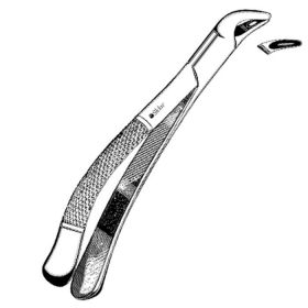 Extracting Forceps Sklar OR Grade Stainless Steel NonSterile NonLocking Plier Handle Curved #151 Serrated Tips