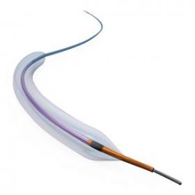 Mini Trek II Overwire Coronary Dilatation Catheter, 2 mm x 15 mm, MSPV / Government Only