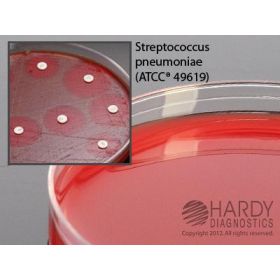 MUELLER HINTON AGAR WITH BLOOD, LARGE 15