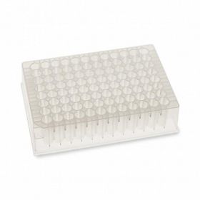 U-Bottom Deep Well Clear Polypropylene Plate with 96 Shared Wall Round Wells, Nonsterile, 1.2 mL