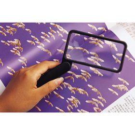 Essential Medical L4002 Everyday Essentials Folding Magnifier