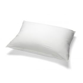 Frostlite Pillow Cover, Zipper Encasement, 21" x 27"