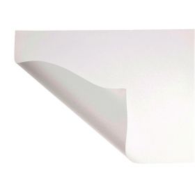 Lab Countertop Paper, Poly, White, 12" x 20"