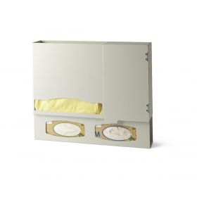 Isolation Protection Organizer, Creme Aluminum, Holds Isolation Gowns and 2 Glove Boxes, With Storage Cabinet