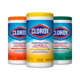 Clorox Disinfecting Wipes, All-Purpose