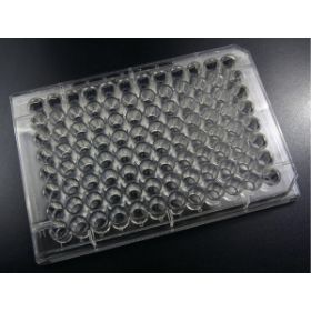 Treated 96-Well Tissue Plate With Lid, Flat Bottom, Polystyrene, Sterile