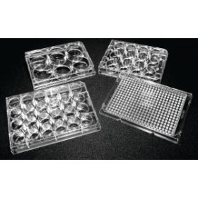 Treated 24-Well Tissue Plate With Lid, Flat Bottom, Polystyrene, Sterile, Individually Packed