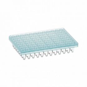 Amplate Skirted PCR 96-Well Plate, Blue