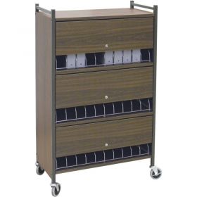 Omnimed Standard Vertical Cabinet Chart Rack with Locking Panel, 30 Binder Capacity, Beige