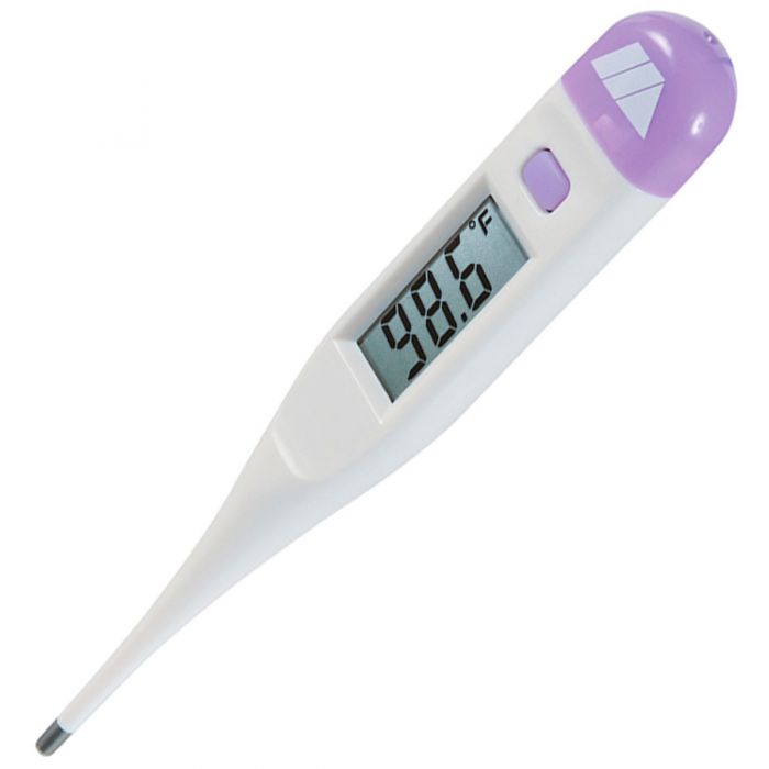 Jumbo Thermometer