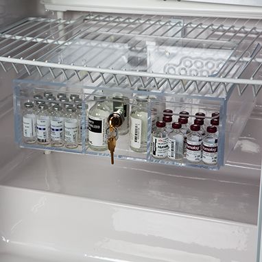 Refrigerator Lock Box